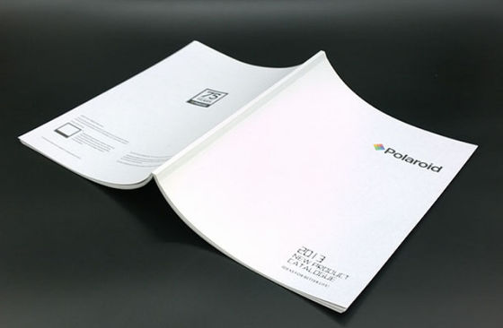 Offset 128G Folded Leaflet Printing Εκτύπωση μπροσούρας Litho Tri Fold
